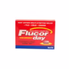 FLUCOR DAY x1 sachet