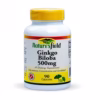 Ginkgo Biloba 500mg x90 (1 Bottle)