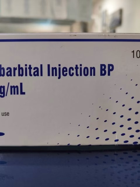 Phenobarbitone Inj 2ml x1 Ampoule