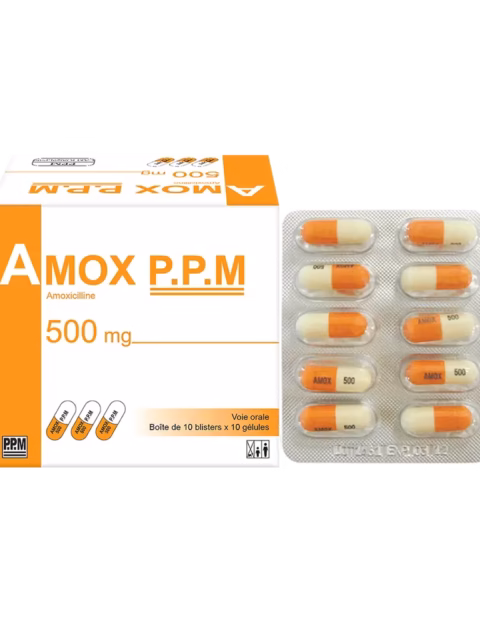 AMOX 500MG