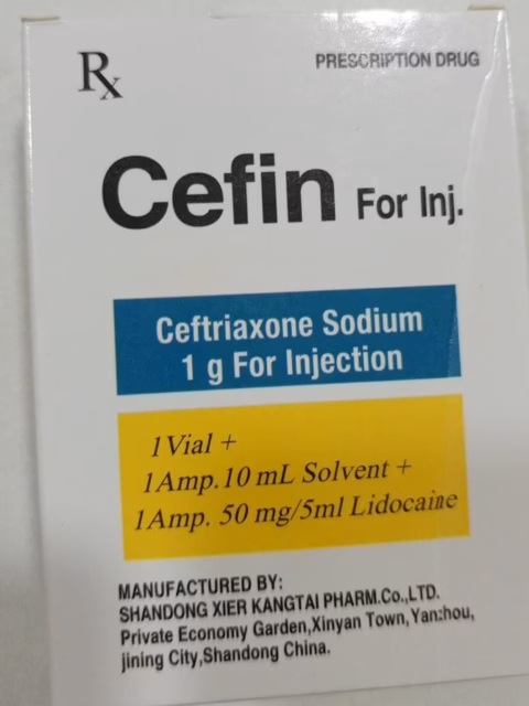 Cefin 1G