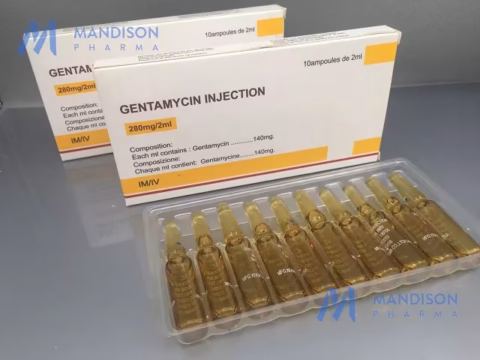Gentamicin 280mg Inj x10 Ampoules