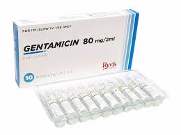 Gentamicin 80mg Inj x10 Ampoules