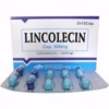 Lincolecin 500mg