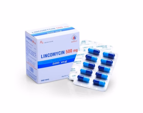 Lincomycin 500mg