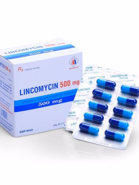 Lincomycin 500mg