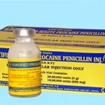 Procaine Penicillin Inj x100 Vial