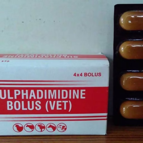 Sulphadimidine Tab x1000